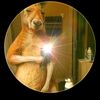 armando.catacoli4