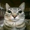 stacy_1415