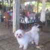 user9m7683ov62