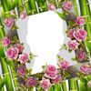 user1187348288008