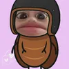 nam.luon.v