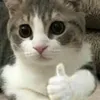 userfh6t3iqjqw