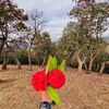 prabeen619