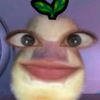 fnt_ygy