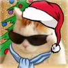 user4342111204232