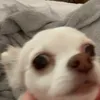 evaaaa_4321