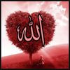 shemizomar4