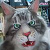 furrymascot.com