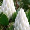 lokman.hossain.1