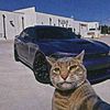 ahmed376a