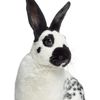 annvorybunny