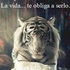 johnn.torres