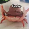policarpo625