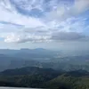 nhh_cl