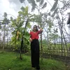 ms.jud07