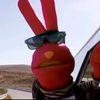 videos_random_xd_94