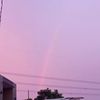 _ccaram3l_leztt