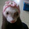 pinkiee77