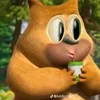 bsct456
