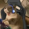 thatlazygamercat1235