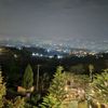 halaf_lee