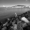 lewis_roj
