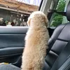 luckisrtyke