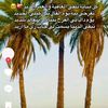 user5gv0jgnr73