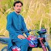 habibtanha801