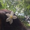 sangyashrestha12345
