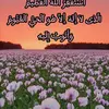 muhamad_sabah0