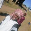 halison12345678