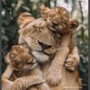 mehdiyeva_24