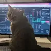 zhoooross