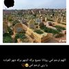 lalabrbehi