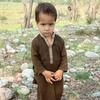 taripafridi