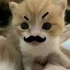nkth_26