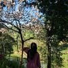 dyniatul