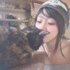 kattnuggett