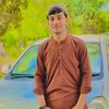 fkshinwari3
