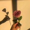 mayy_mnh