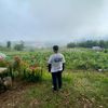 ferdyirawan8518