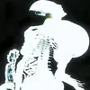 kolorowazaba1