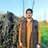 siyal.khan8