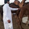 muzammil.muzammil1658