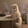 catfairyfluffy