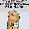 gilsonlopes239