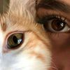 user7cflfnui6x