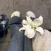 wat_808