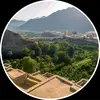 zahrani_b